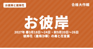 お彼岸とは?2027年の春彼岸・秋彼岸はいつ・意味と彼岸花(曼珠沙華)の毒・花言葉