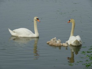 賢い子どもを育てるお勧め書籍3冊。仕事柄この手の本はたくさん読むのですが、その中でもお勧めの3冊です。