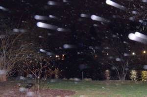 台風の豆知識。台風の番号と名前の法則。台風26号の名前は「ウィパー」、台風27号の名前は「フランシスコ」