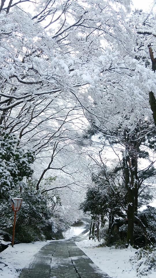 雪の積もった京都・八瀬の道