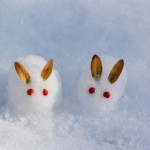 二十四節気を覚えよう！本日は二十四節気のひとつ「冬至」です。