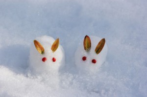 二十四節気を覚えよう！本日は二十四節気のひとつ「冬至」です。