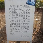 2014年京都大学の物理・化学はやや易化（東大化学は難化）・難易度感想