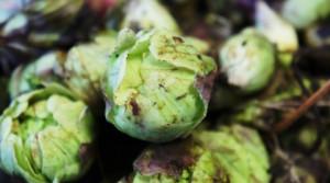 本日3月6日（旧暦2月6日）は二十四節気の一つ啓蟄（ケイチツ）です。