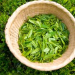 4月20日は二十四節気の一つ｢穀雨｣でした。