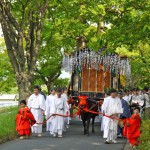 本日は京都三大祭（葵祭・祇園祭・時代祭）の一つ葵祭