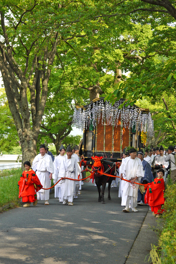 本日は京都三大祭（葵祭・祇園祭・時代祭）の一つ葵祭