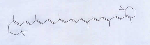 βcarotene