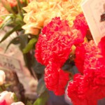 2014年の母の日は母の日100周年！第28代アメリカ大統領ウイルソンが制定