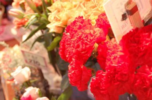 2014年の母の日は母の日100周年！第28代アメリカ大統領ウイルソンが制定