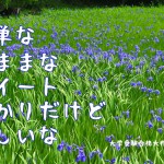 二十四節気の一つ「小満」と在原業平の「かきつばた」