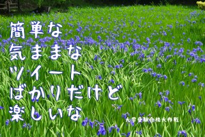 二十四節気の一つ「小満」と在原業平の「かきつばた」
