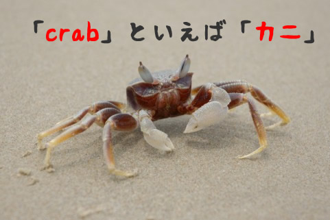crabの意味はカニ