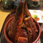 うなぎ釣りの結果報告と土用の丑の日カレンダー：今年の土用の丑の日は何月何日？