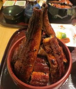 うなぎ釣りの結果報告と土用の丑の日カレンダー：今年の土用の丑の日は何月何日？