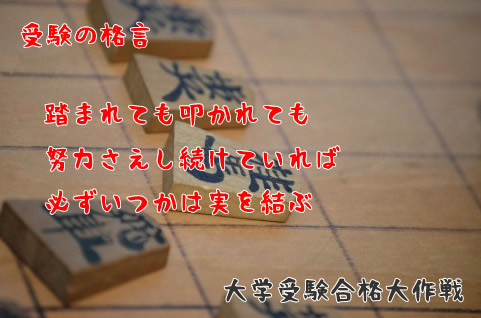 踏まれても叩かれても努力さえさえ続けていれば必ずいつかは実を結ぶ