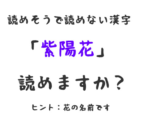 「紫陽花」読めそうで読めない漢字。「紫陽花」には毒がある！