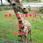世界一長い英単語はpneumonoultramicroscopicsilicovolcanoconiosisかsmilesか！？