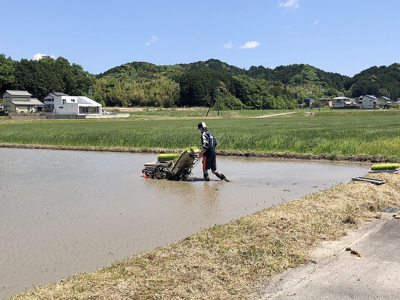 田植えの風景
