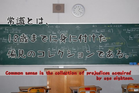 常識とは、18歳までに身に付けた偏見のコレクションである。