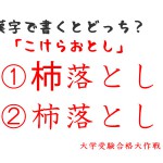 杮と柿の違い。「こけらおとし」を漢字で書くとどっち？