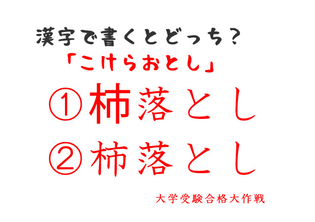 杮と柿の違い。「こけらおとし」を漢字で書くとどっち？