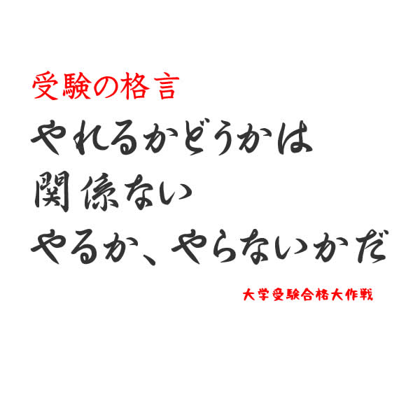 やれるかどうかは 関係ない やるか、やらないかだ