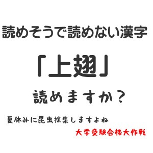 上翅とは？上翅の意味と読み方
