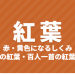 霜降と紅葉｜紅葉のしくみ（赤・黄色になる理由）と京都の紅葉、紅葉の和歌・季語【二十四節気】