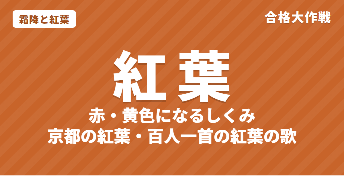 霜降と紅葉|紅葉のしくみ(赤・黄色になる理由)と京都の紅葉、紅葉の和歌・季語【二十四節気】
