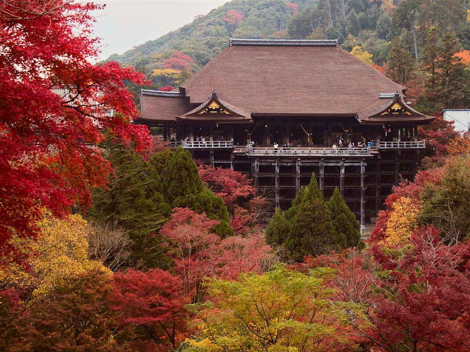 紅葉の清水寺