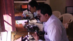 【更新】日本人のノーベル賞受賞者の出身大学リスト