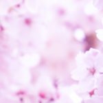 2022年岡山大学合格最低点予想