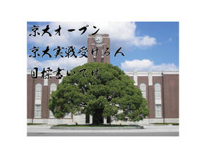 京大オープン・京大実戦受ける人　目標書いてけ--2023年夏、京大オープン・京大実戦で数学何完を目指しますか？