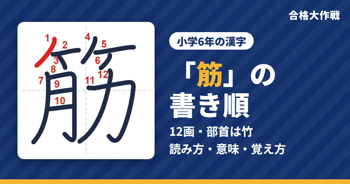 「筋」の書き順（筆順）アニメ｜読み方・画数・部首・意味【小学6年の漢字】