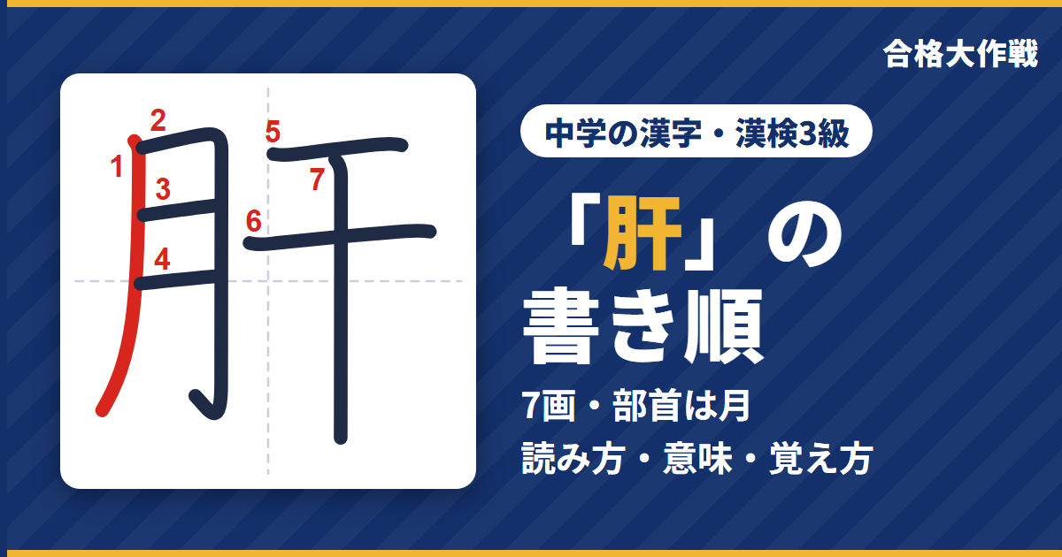 「肝」の書き順(筆順)アニメ|読み方・画数・部首・意味【中学の漢字・漢検3級】