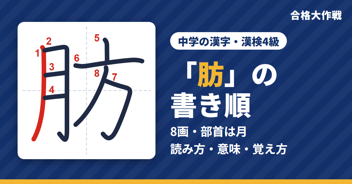 「肪」の書き順（筆順）アニメ｜読み方・画数・部首・意味【中学の漢字・漢検4級】