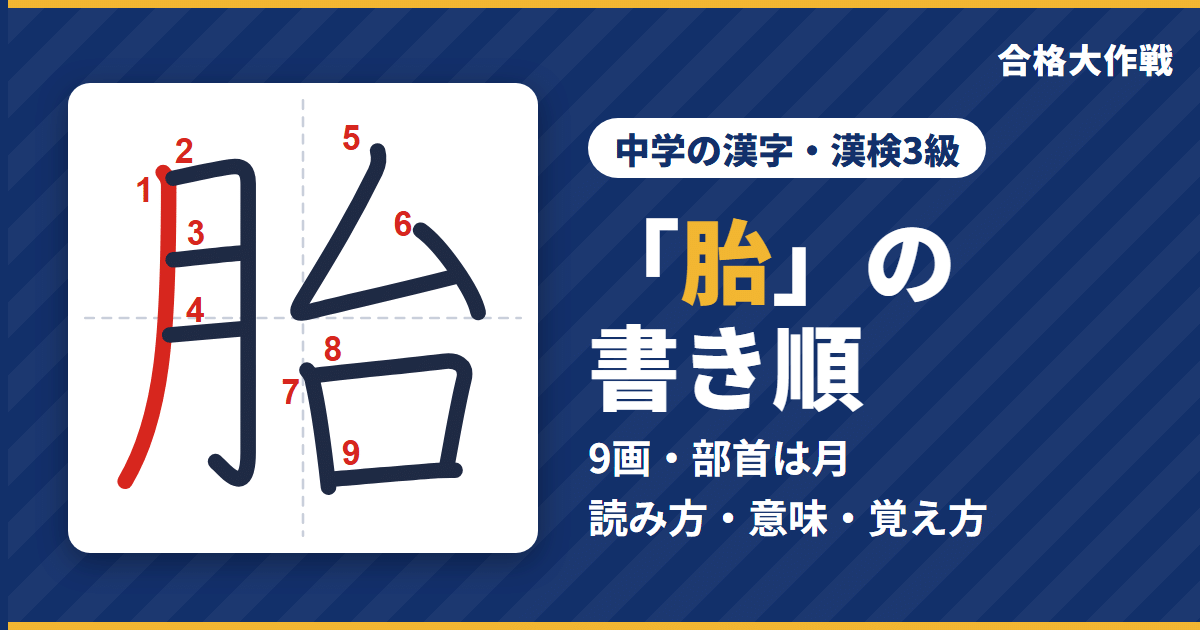 「胎」の書き順(筆順)アニメ|読み方・画数・部首・意味【中学の漢字・漢検3級】