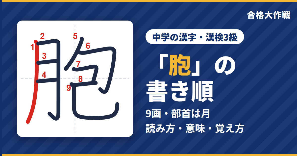 「胞」の書き順（筆順）アニメ｜読み方・画数・部首・意味【中学の漢字・漢検3級】