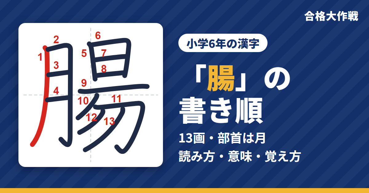 「腸」の書き順（筆順）アニメ｜読み方・画数・部首・意味【小学6年の漢字】