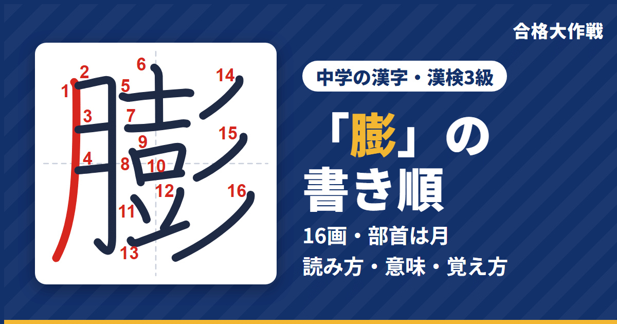 「膨」の書き順(筆順)アニメ|読み方・画数・部首・意味【中学の漢字・漢検3級】