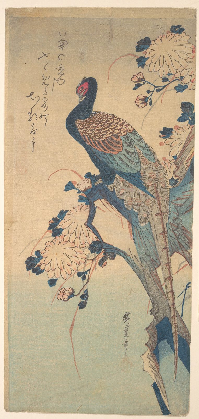歌川広重『菊に雉』