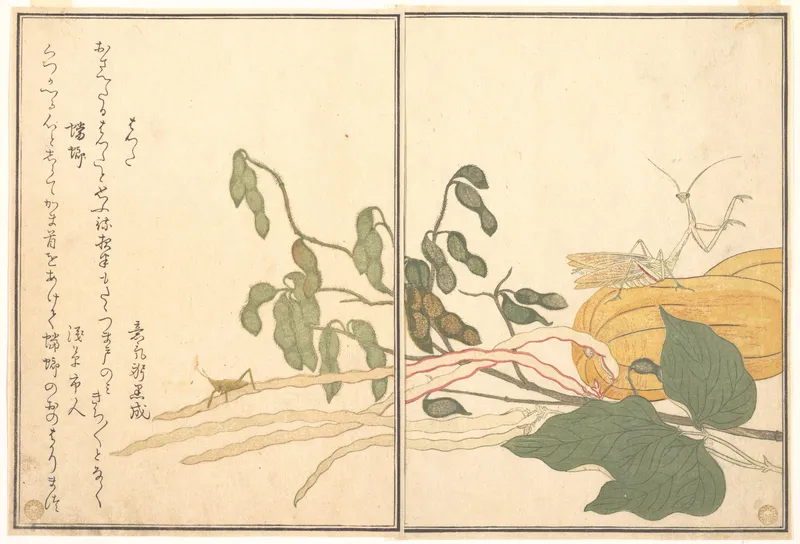 豆の枝とかぼちゃの上に、前足を上げたかまきりと、ばったが描かれた多色刷りの絵本の見開き